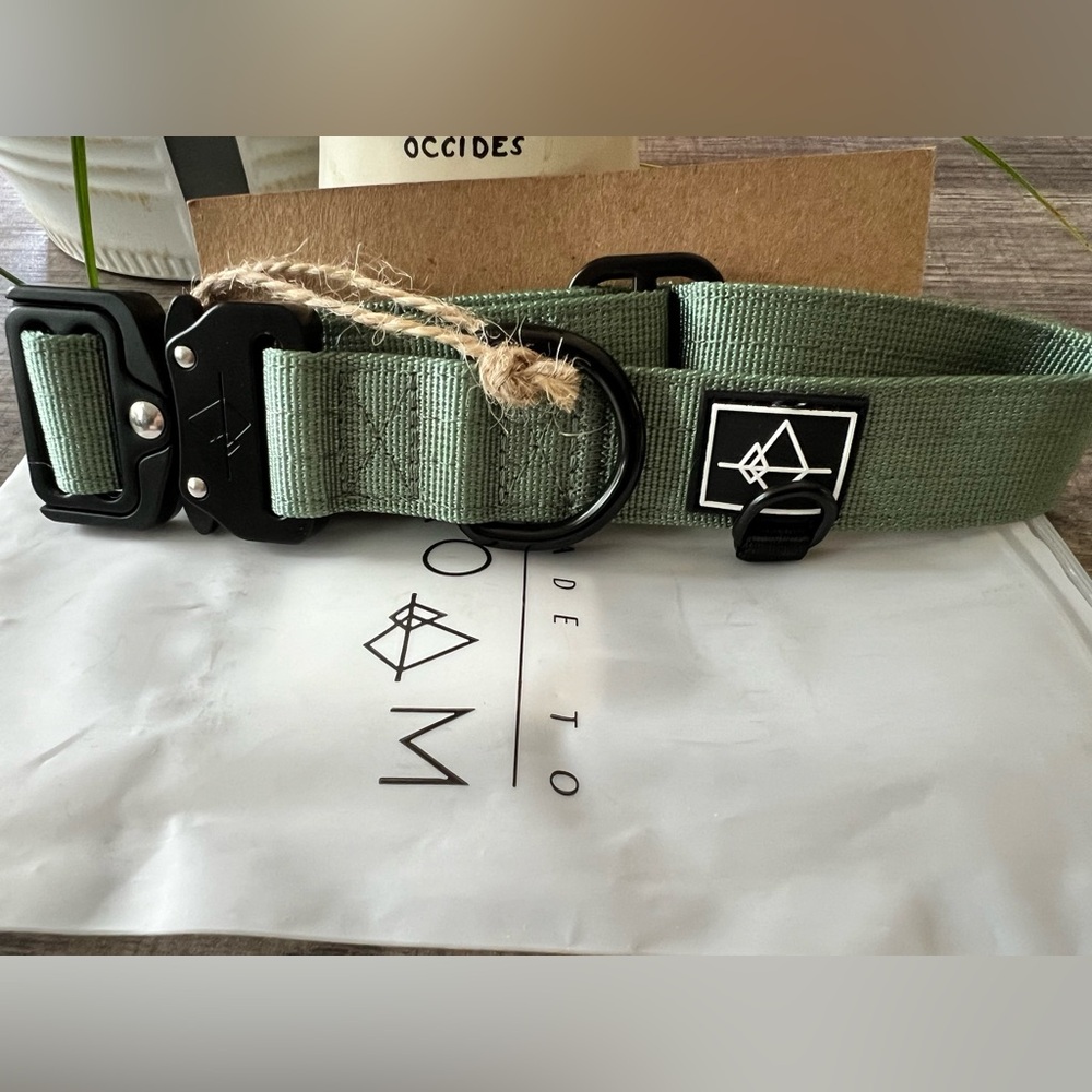 ROAM Seafoam Green / Black Dog Collar